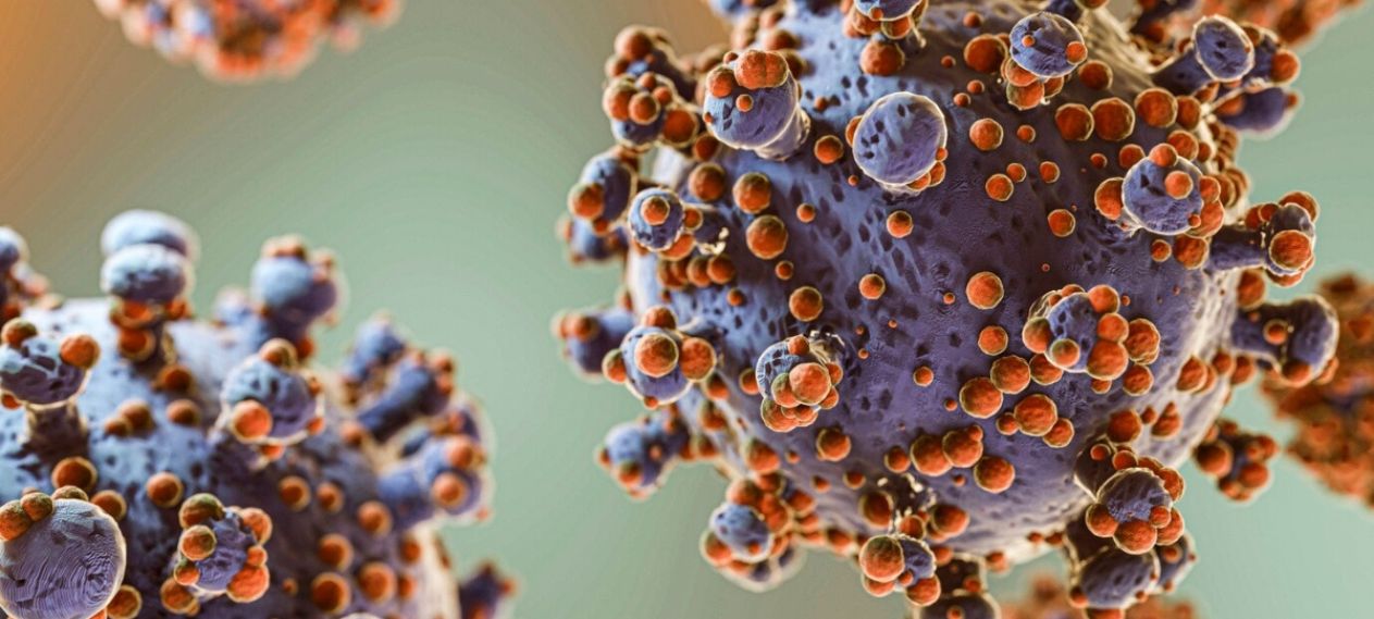 What is Disease X? Could it Trigger Another Global Pandemic?