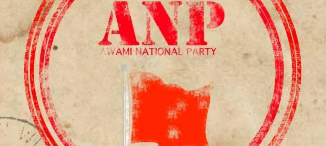 ANP Leader Attacked in Peshawar, PTI-P MPA Booked for Alleged Assault